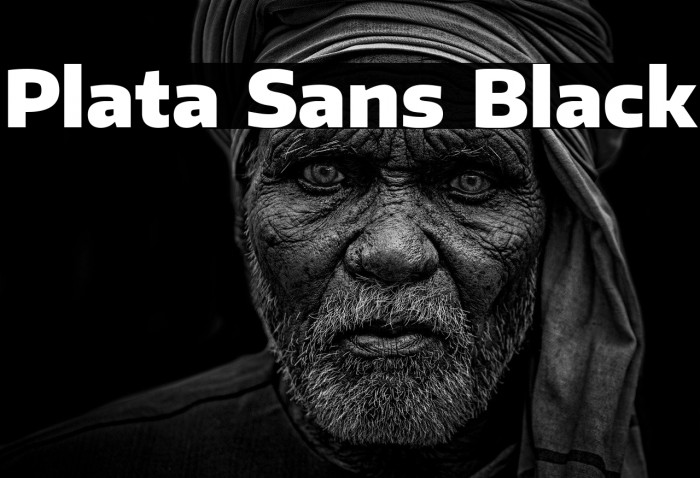 Plata Sans Black Example 1