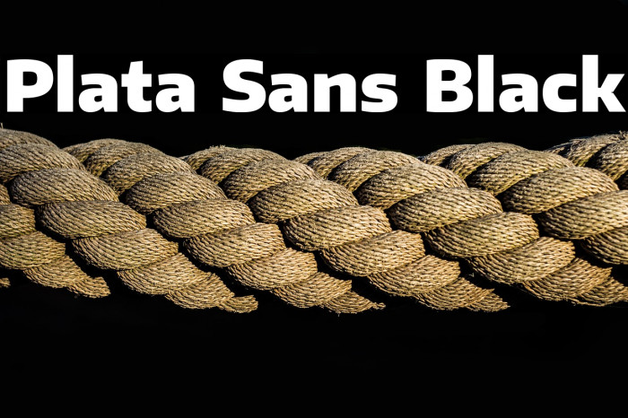 Plata Sans Black Example 2