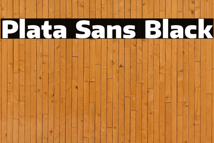 Plata Sans Black Example 3