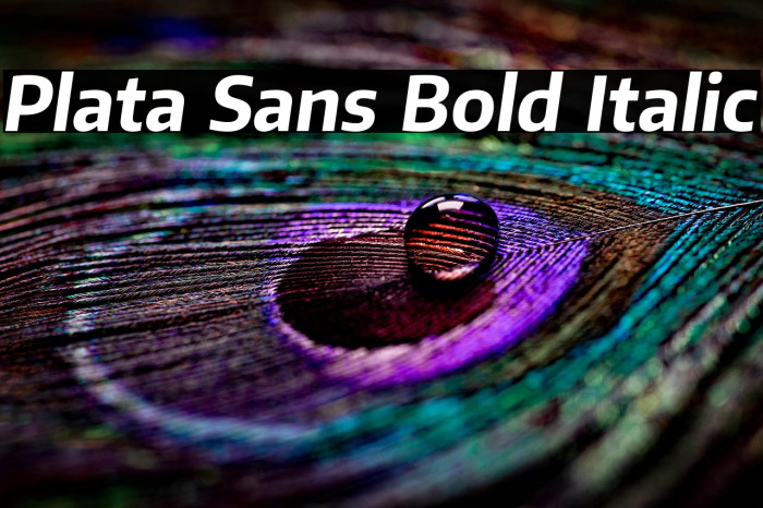 Plata Sans Bold Italic Example 1