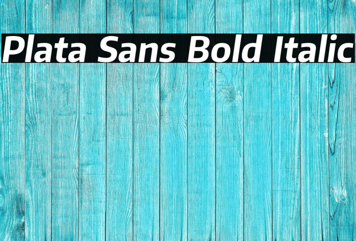 Plata Sans Bold Italic Example 2