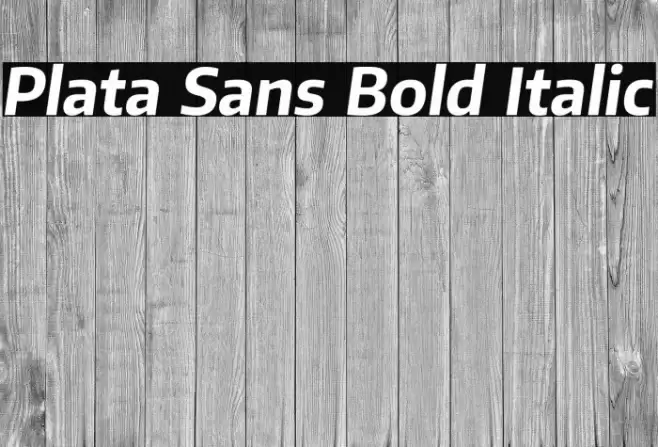 Plata Sans Bold Italic Font examples