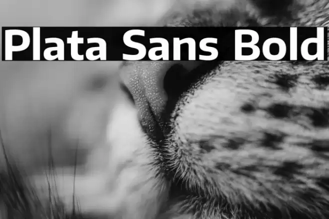 Plata Sans Bold Font examples
