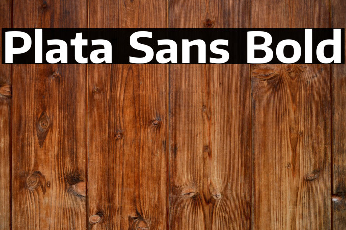 Plata Sans Bold Example 2