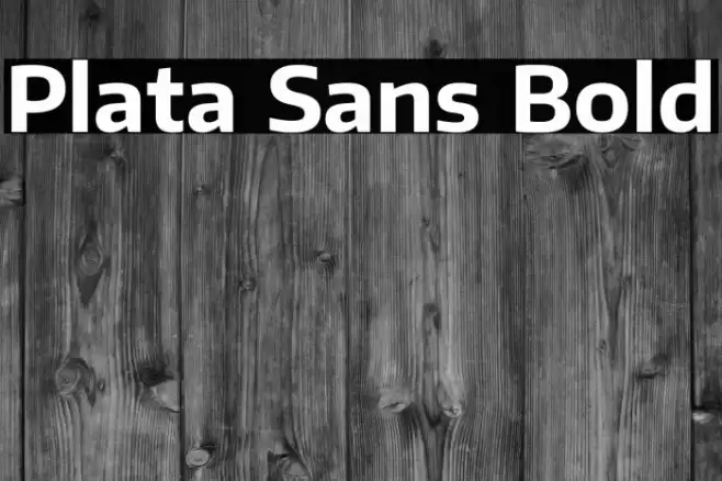Plata Sans Bold Font examples