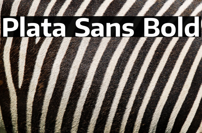 Plata Sans Bold Example 3
