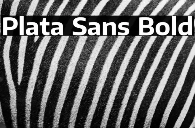 Plata Sans Bold Font examples
