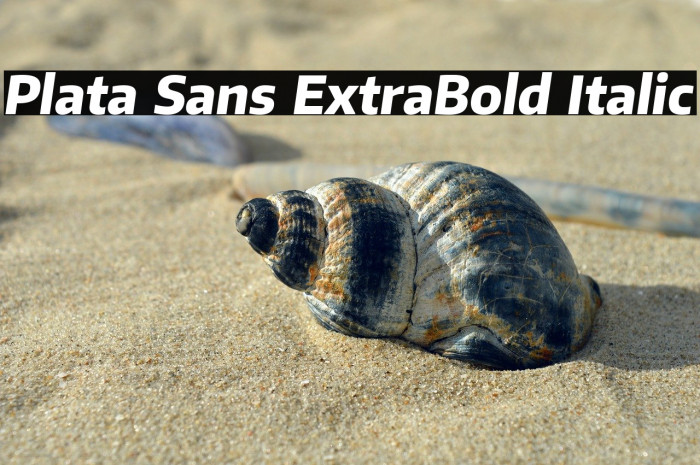 Plata Sans ExtraBold Italic Example 3