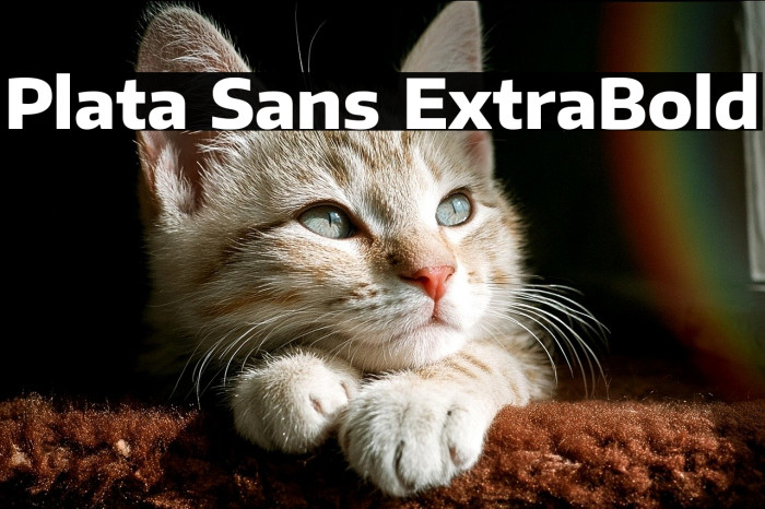 Plata Sans ExtraBold Example 2