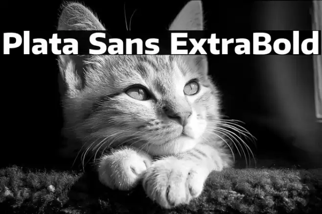Plata Sans ExtraBold Font examples