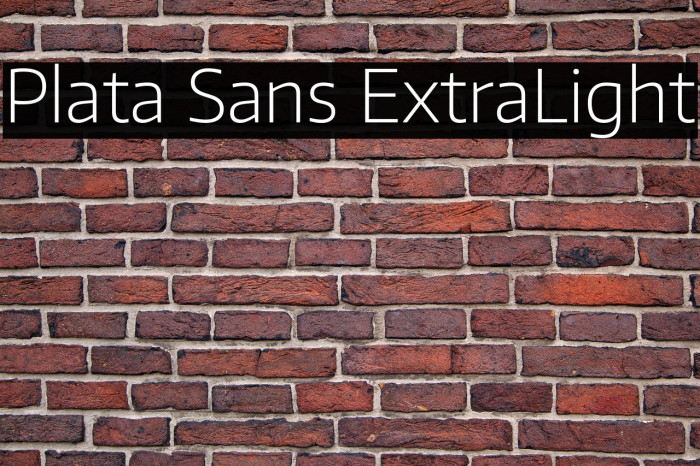Plata Sans ExtraLight Example 1