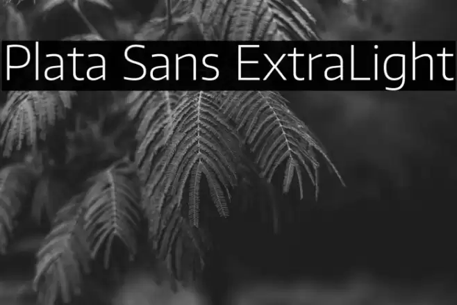 Plata Sans ExtraLight Font examples