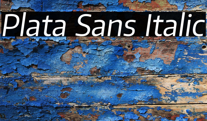 Plata Sans Italic Example 1
