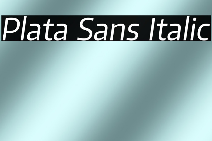 Plata Sans Italic Example 2