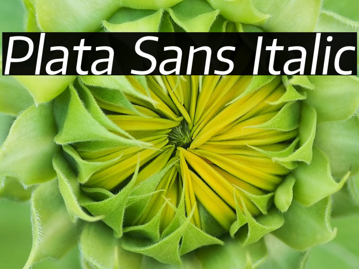Plata Sans Italic Example 3