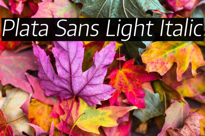 Plata Sans Light Italic Example 2