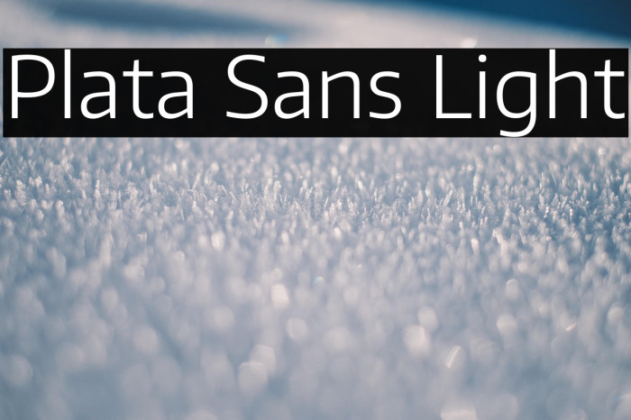 Plata Sans Light Example 1