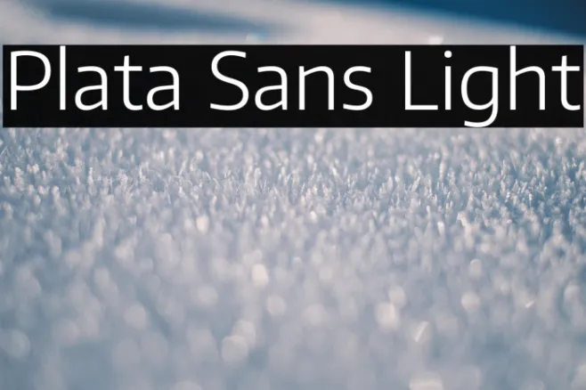 Plata Sans Light Example 1