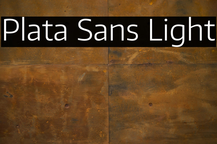 Plata Sans Light Example 2