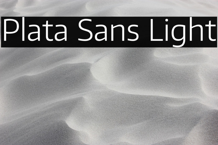 Plata Sans Light Example 3