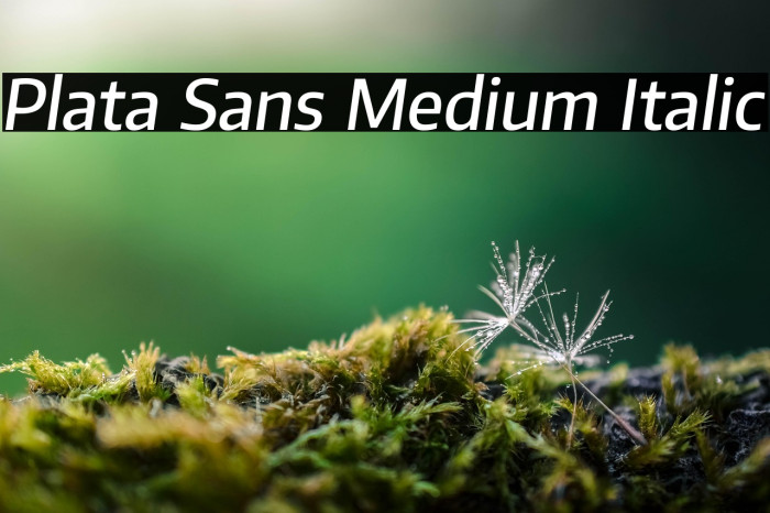 Plata Sans Medium Italic Example 1
