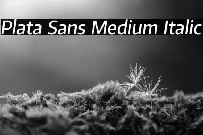 Plata Sans Medium Italic Font examples