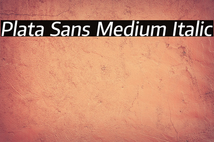 Plata Sans Medium Italic Example 2