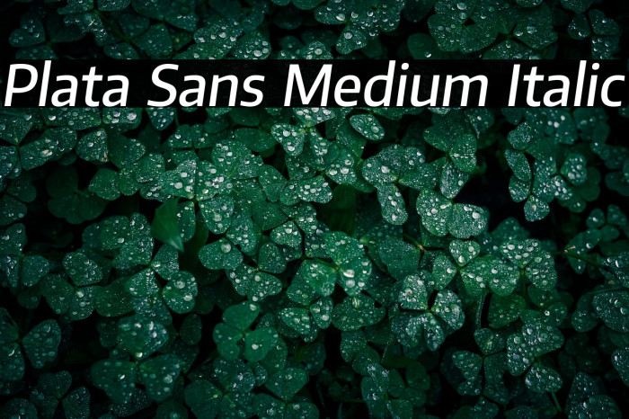 Plata Sans Medium Italic Example 3