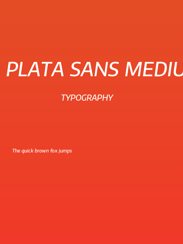 Plata Sans Medium Italic Poster
