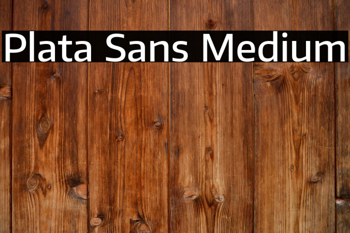 Plata Sans Medium Example 1