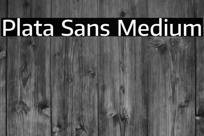 Plata Sans Medium Font examples