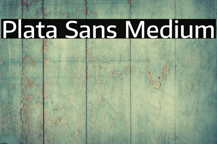 Plata Sans Medium Example 2
