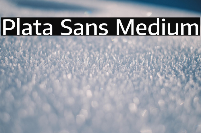 Plata Sans Medium Example 3