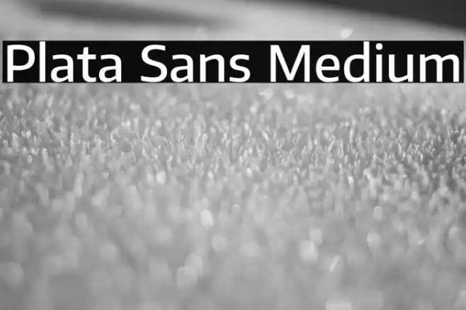 Plata Sans Medium Font examples
