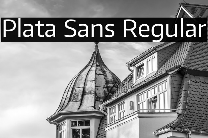 Plata Sans Regular Example 1