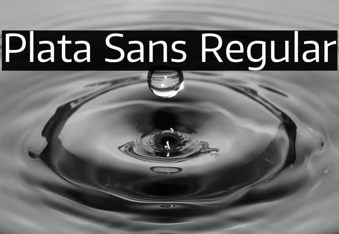 Plata Sans Regular Example 2