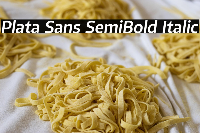 Plata Sans SemiBold Italic Example 1