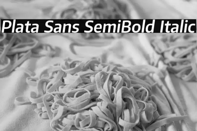 Plata Sans SemiBold Italic Font examples