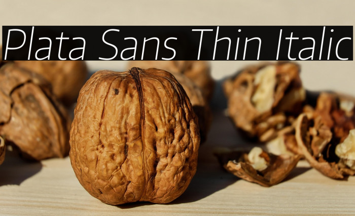 Plata Sans Thin Italic Example 2