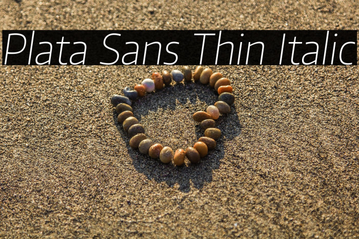 Plata Sans Thin Italic Example 3