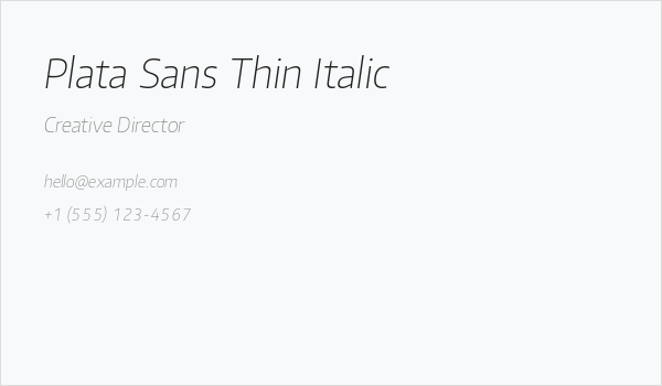 Plata Sans Thin Italic Business Card