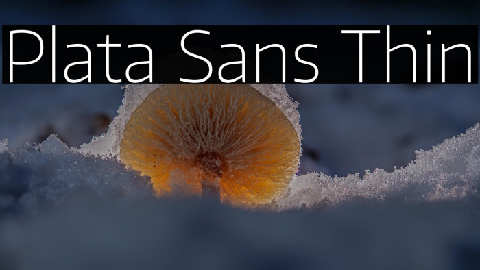 Plata Sans Thin Example 1