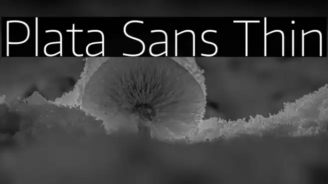 Plata Sans Thin Font examples