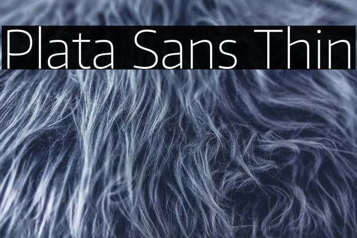Plata Sans Thin Example 2