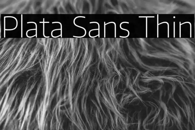 Plata Sans Thin Font examples