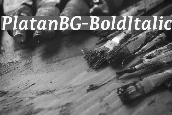 PlatanBG-BoldItalic Font examples