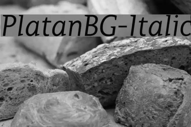 PlatanBG-Italic Font examples