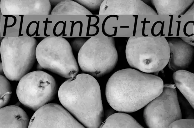 PlatanBG-Italic Font examples