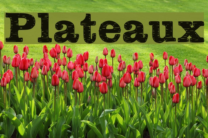 Plateaux Font examples