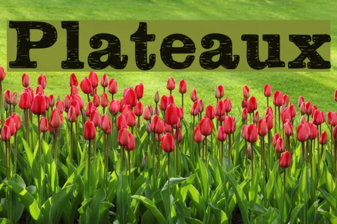 Plateaux Example 3